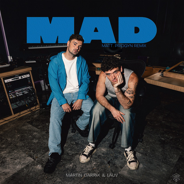 کاور آهنگ MAD - Matt Pridgyn Remix از Lauv, Martin Garrix, Matt Pridgyn