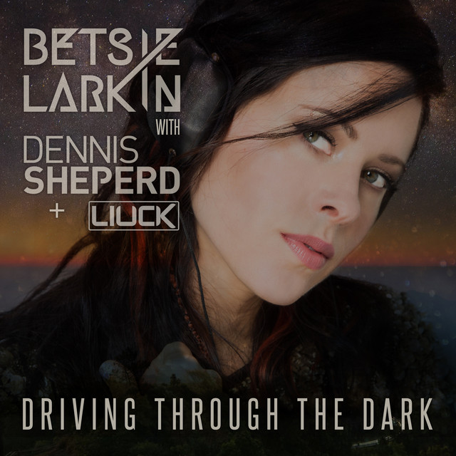 کاور آهنگ Driving Through the Dark - Extended Mix از Dennis Sheperd