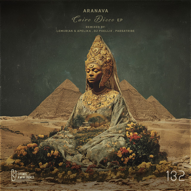 کاور آهنگ دیسکو قاهره از حامد حبیب‌پور, ARANAVA