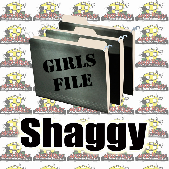 کاور آهنگ The Bug - Instrumental از Shaggy