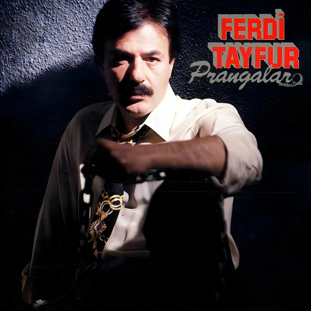 کاور آهنگ Yüreğimde Çarpıyorsun از Ferdi Tayfur