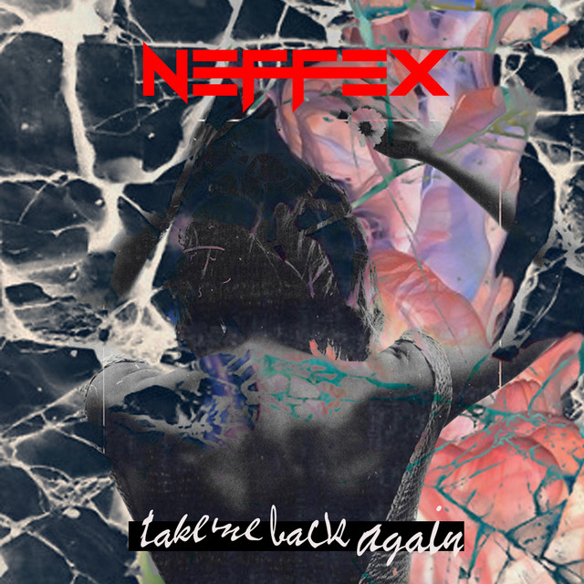 کاور آهنگ Take Me Back Again از NEFFEX