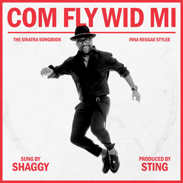 کاور آهنگ Under My Skin از Shaggy