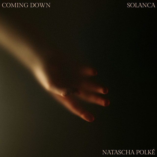 کاور آهنگ Coming Down از Natascha Polke