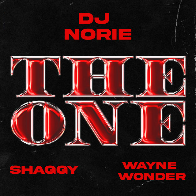 کاور آهنگ The One (ft Shaggy & Wayne Wonder) از Shaggy, Dj Norie, Wayne Wonder