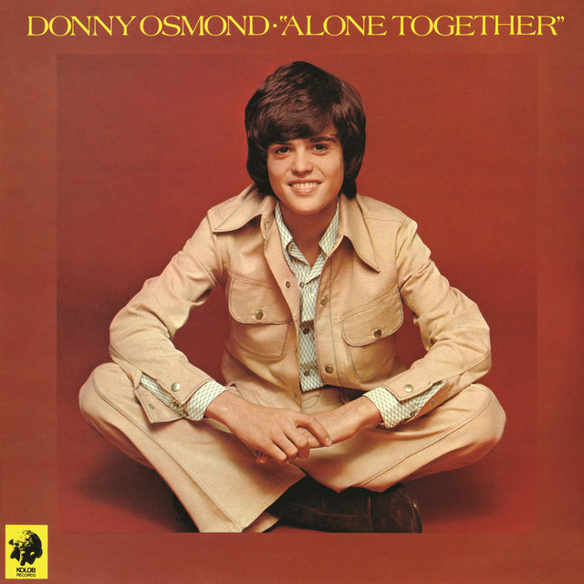 کاور آهنگ Other Side Of Me از Donny Osmond