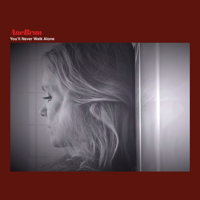 کاور آهنگ You'll Never Walk Alone از Ane Brun