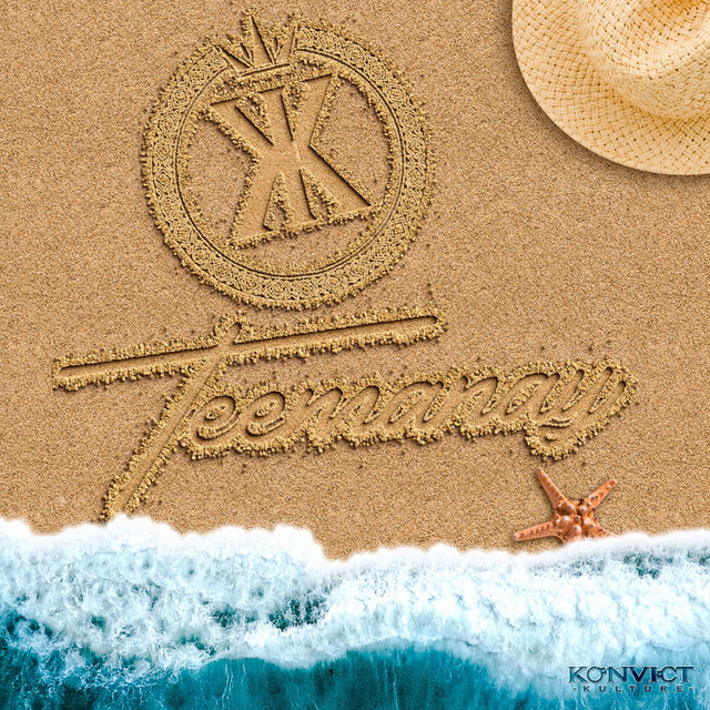 کاور آهنگ Vibez (Just Like the Weather) [Acoustic] از Akon, Teemanay