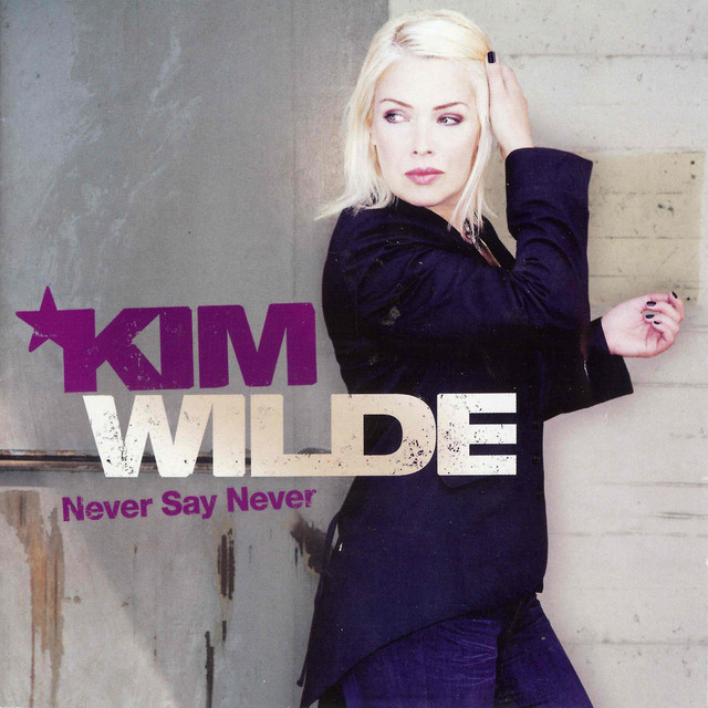 کاور آهنگ You Came از Kim Wilde