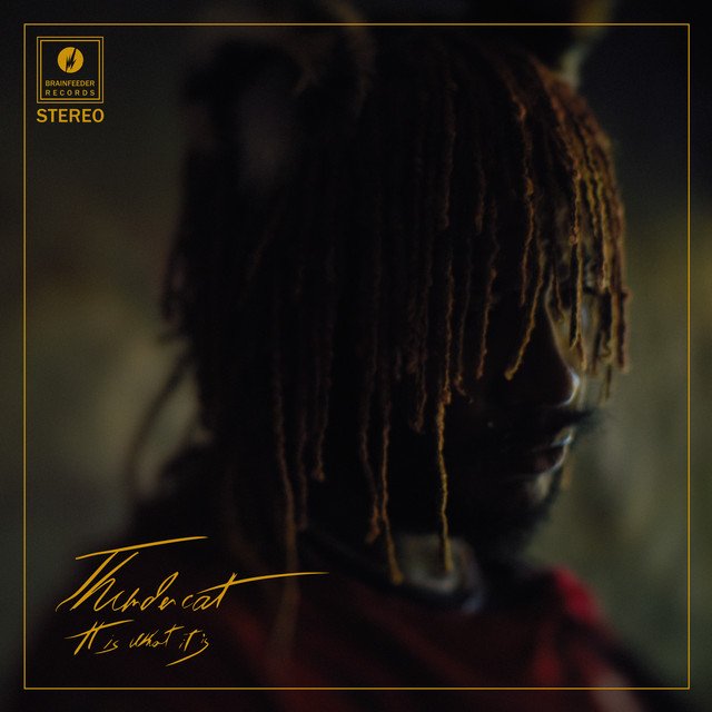 کاور آهنگ Innerstellar Love از Thundercat
