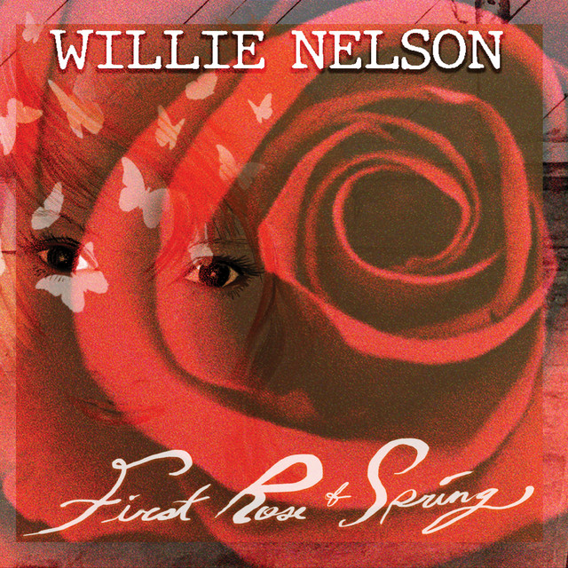 کاور آهنگ Stealing Home از Willie Nelson
