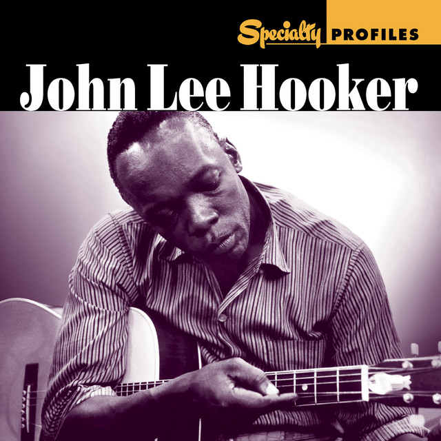 کاور آهنگ I'm Mad از John Lee Hooker