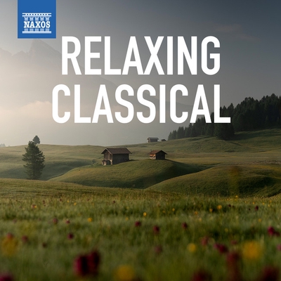 کاور آهنگ Nocturnes, Op. 9: No. 2 in E-Flat Major از Johann Sebastian Bach, Frederic Chopin, Wolfgang Amadeus Mozart, Antonio Vivaldi, Idil Biret