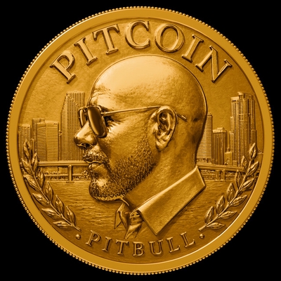 کاور آهنگ 2 The Moon از Pitbull, AFROJACK, Ne-Yo, DJ Buddha