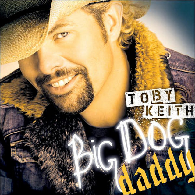 کاور آهنگ High Maintenance Woman از Toby Keith