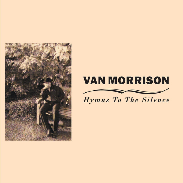 کاور آهنگ Village Idiot از Van Morrison