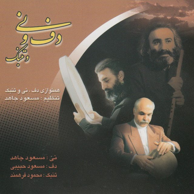 کاور آهنگ دوست دارم از مسعود جاهد