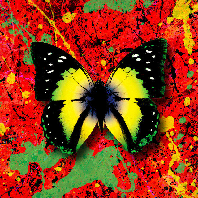 کاور آهنگ 2step (feat. Chefin) از Ed Sheeran, Chefin
