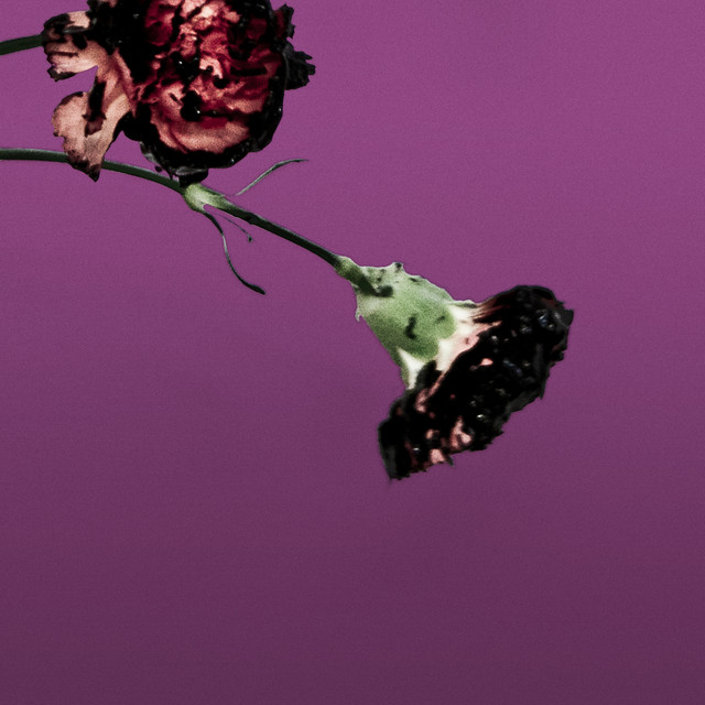 کاور آهنگ You & I (Nobody in the World) - R3hab Remix - Radio Edit از R3HAB, John Legend