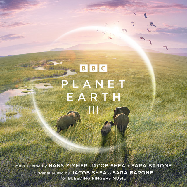 کاور آهنگ Frog Hunters از Jacob Shea, Sara Barone