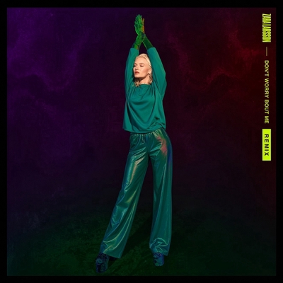 کاور آهنگ Don't Worry Bout Me - Rudimental Remix از Zara Larsson, Rudimental