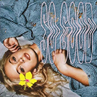 کاور آهنگ I Would Like - Gorgon City Remix از Zara Larsson, Gorgon City