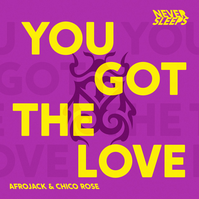 کاور آهنگ You Got The Love - Extended Mix از AFROJACK, Chico Rose