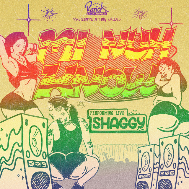 کاور آهنگ Mi Nuh Know از Shaggy