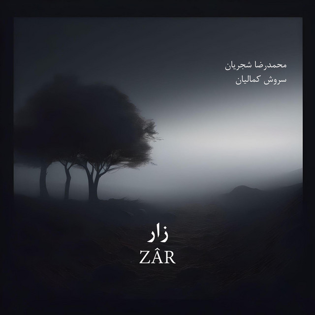 کاور آهنگ زار از سروش کمالیان, محمدرضا شجریان