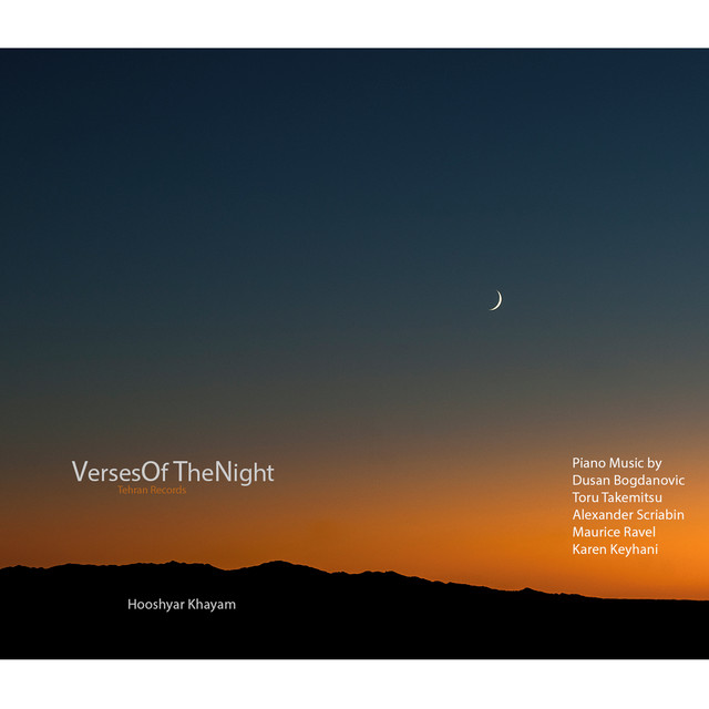 کاور آهنگ پرندگان غمگین از هوشیار خیام