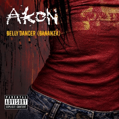 کاور آهنگ Bananza (Belly Dancer) - DJ Shaan Remix از Akon, DJ Shaan