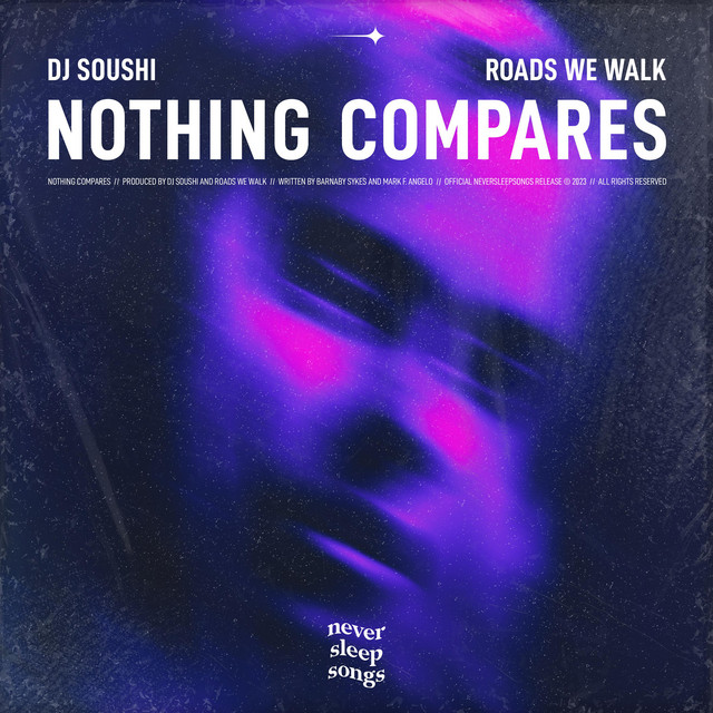 کاور آهنگ هیچ‌چیز قابل مقایسه نیست از Roads We Walk, دی جی سوشی, NeverSleepSongs