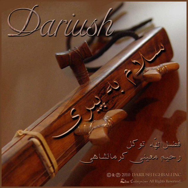 کاور آهنگ سلام به پیری از داریوش