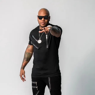 کاور آهنگ Have It (feat. Flo Rida) - Mr. Mig Future Bounce Remix از Flo Rida, AP3, Mr. Mig