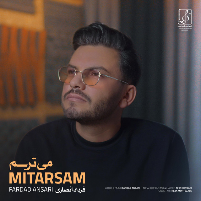 کاور آهنگ می‌ترسم از فرداد انصاری