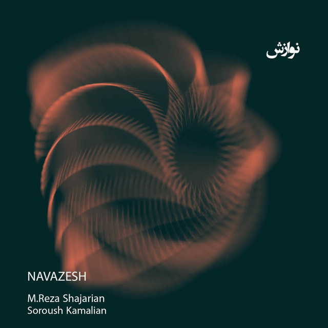 کاور آهنگ نوازش از سروش کمالیان, محمدرضا شجریان